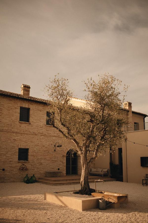 לינה וארוחת בוקר צ'ינגולי Casale Tre Gelsi מראה חיצוני תמונה